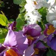 ヒメ日記 2026/01/14 17:30 投稿 斉藤恵 セレブショップ新宿（東京ハレ系）