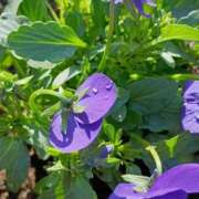 ヒメ日記 2026/01/15 11:45 投稿 斉藤恵 セレブショップ新宿（東京ハレ系）