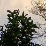 ヒメ日記 2026/01/16 06:00 投稿 斉藤恵 セレブショップ新宿（東京ハレ系）