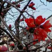 ヒメ日記 2026/01/16 18:24 投稿 斉藤恵 セレブショップ新宿（東京ハレ系）