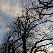 ヒメ日記 2026/01/17 06:28 投稿 斉藤恵 セレブショップ新宿（東京ハレ系）