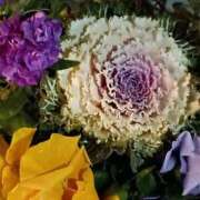 ヒメ日記 2026/01/18 21:15 投稿 斉藤恵 セレブショップ新宿（東京ハレ系）