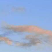 ヒメ日記 2026/01/21 18:30 投稿 斉藤恵 セレブショップ新宿（東京ハレ系）