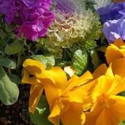 ヒメ日記 2026/01/28 06:00 投稿 斉藤恵 セレブショップ新宿（東京ハレ系）