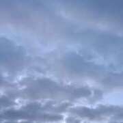 ヒメ日記 2026/01/29 14:20 投稿 斉藤恵 セレブショップ新宿（東京ハレ系）