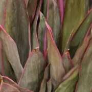 ヒメ日記 2026/01/30 06:00 投稿 斉藤恵 セレブショップ新宿（東京ハレ系）