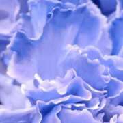 ヒメ日記 2026/02/01 06:00 投稿 斉藤恵 セレブショップ新宿（東京ハレ系）