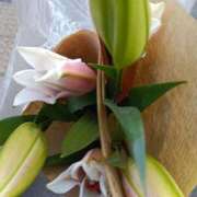 ヒメ日記 2026/02/02 21:02 投稿 斉藤恵 セレブショップ新宿（東京ハレ系）