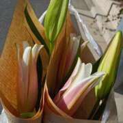 ヒメ日記 2026/02/03 13:59 投稿 斉藤恵 セレブショップ新宿（東京ハレ系）