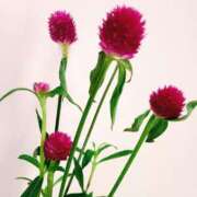 ヒメ日記 2026/02/04 06:00 投稿 斉藤恵 セレブショップ新宿（東京ハレ系）