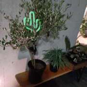 ヒメ日記 2026/02/05 06:00 投稿 斉藤恵 セレブショップ新宿（東京ハレ系）