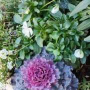 ヒメ日記 2026/02/07 10:30 投稿 斉藤恵 セレブショップ新宿（東京ハレ系）