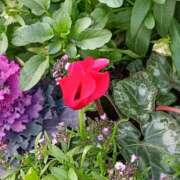 ヒメ日記 2026/02/10 10:15 投稿 斉藤恵 セレブショップ新宿（東京ハレ系）