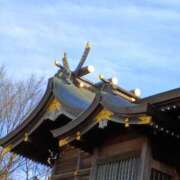 ヒメ日記 2026/02/10 13:01 投稿 斉藤恵 セレブショップ新宿（東京ハレ系）