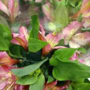 ヒメ日記 2026/02/11 21:02 投稿 斉藤恵 セレブショップ新宿（東京ハレ系）