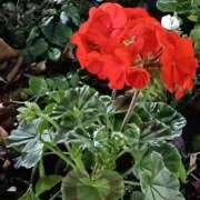 ヒメ日記 2026/02/14 08:30 投稿 斉藤恵 セレブショップ新宿（東京ハレ系）