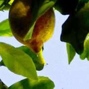 ヒメ日記 2026/02/14 19:31 投稿 斉藤恵 セレブショップ新宿（東京ハレ系）