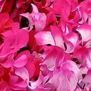 ヒメ日記 2026/02/15 07:15 投稿 斉藤恵 セレブショップ新宿（東京ハレ系）