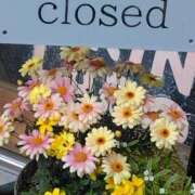 ヒメ日記 2026/02/18 07:15 投稿 斉藤恵 セレブショップ新宿（東京ハレ系）