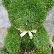 ヒメ日記 2026/02/18 11:15 投稿 斉藤恵 セレブショップ新宿（東京ハレ系）