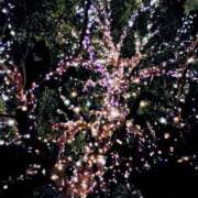 ヒメ日記 2026/02/18 20:52 投稿 斉藤恵 セレブショップ新宿（東京ハレ系）