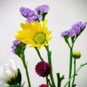 ヒメ日記 2026/02/19 01:28 投稿 斉藤恵 セレブショップ新宿（東京ハレ系）