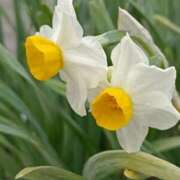 ヒメ日記 2026/02/19 10:15 投稿 斉藤恵 セレブショップ新宿（東京ハレ系）