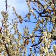 ヒメ日記 2026/02/19 14:21 投稿 斉藤恵 セレブショップ新宿（東京ハレ系）