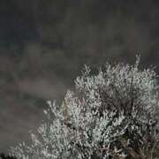 ヒメ日記 2026/02/21 01:24 投稿 斉藤恵 セレブショップ新宿（東京ハレ系）