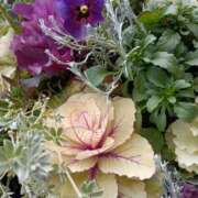 ヒメ日記 2026/02/22 06:34 投稿 斉藤恵 セレブショップ新宿（東京ハレ系）