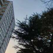 ヒメ日記 2026/02/23 18:15 投稿 斉藤恵 セレブショップ新宿（東京ハレ系）