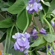 ヒメ日記 2026/02/23 23:48 投稿 斉藤恵 セレブショップ新宿（東京ハレ系）