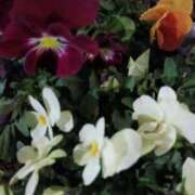 ヒメ日記 2026/02/24 06:00 投稿 斉藤恵 セレブショップ新宿（東京ハレ系）