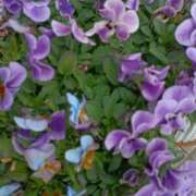 ヒメ日記 2026/02/24 08:30 投稿 斉藤恵 セレブショップ新宿（東京ハレ系）