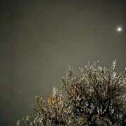 ヒメ日記 2026/02/28 00:30 投稿 斉藤恵 セレブショップ新宿（東京ハレ系）