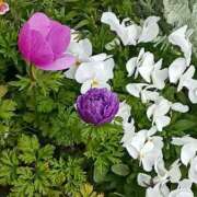 ヒメ日記 2026/02/28 07:45 投稿 斉藤恵 セレブショップ新宿（東京ハレ系）