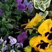 ヒメ日記 2026/03/02 06:00 投稿 斉藤恵 セレブショップ新宿（東京ハレ系）