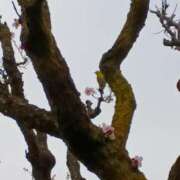 ヒメ日記 2026/03/02 11:05 投稿 斉藤恵 セレブショップ新宿（東京ハレ系）