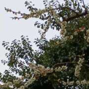 ヒメ日記 2026/03/02 19:52 投稿 斉藤恵 セレブショップ新宿（東京ハレ系）