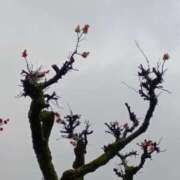 ヒメ日記 2026/03/04 06:00 投稿 斉藤恵 セレブショップ新宿（東京ハレ系）