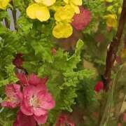 ヒメ日記 2026/03/04 18:14 投稿 斉藤恵 セレブショップ新宿（東京ハレ系）