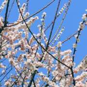 ヒメ日記 2026/03/05 11:02 投稿 斉藤恵 セレブショップ新宿（東京ハレ系）