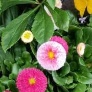 ヒメ日記 2026/03/07 21:30 投稿 斉藤恵 セレブショップ新宿（東京ハレ系）