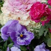 ヒメ日記 2026/03/08 07:15 投稿 斉藤恵 セレブショップ新宿（東京ハレ系）