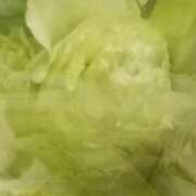 ヒメ日記 2026/03/08 21:02 投稿 斉藤恵 セレブショップ新宿（東京ハレ系）