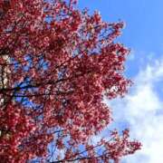 ヒメ日記 2026/03/09 18:21 投稿 斉藤恵 セレブショップ新宿（東京ハレ系）