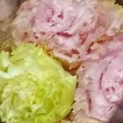 ヒメ日記 2026/03/10 06:00 投稿 斉藤恵 セレブショップ新宿（東京ハレ系）