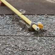 ヒメ日記 2026/03/13 15:11 投稿 斉藤恵 セレブショップ新宿（東京ハレ系）