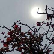 ヒメ日記 2026/03/13 20:46 投稿 斉藤恵 セレブショップ新宿（東京ハレ系）