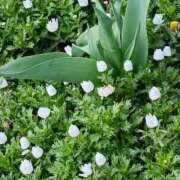 ヒメ日記 2026/03/16 00:00 投稿 斉藤恵 セレブショップ新宿（東京ハレ系）